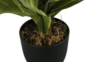 ARTIFICIAL PLANT - 17"H DRACAENA