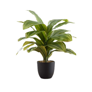 ARTIFICIAL PLANT - 17"H DRACAENA